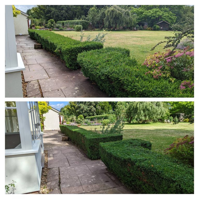 InCollage_20220710_150722007 (1) (1)