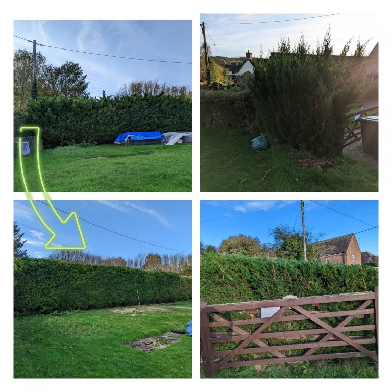 InCollage_20221122_225601147 (2)