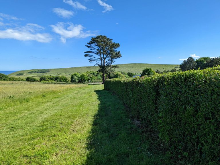 PXL_20220524_151617754 (1)