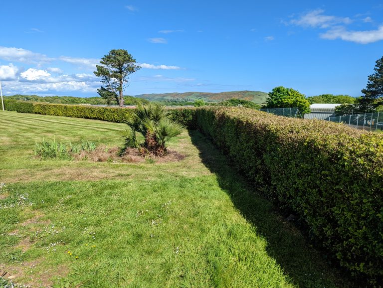 PXL_20220524_151828968