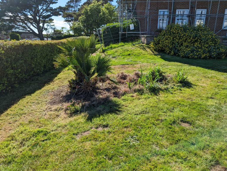 PXL_20220524_151841904