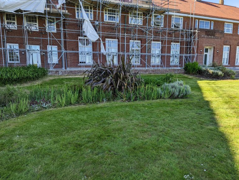 PXL_20220524_151907596