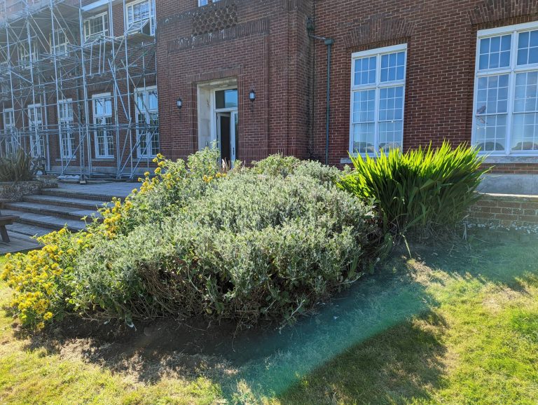 PXL_20220524_152031693 (2)