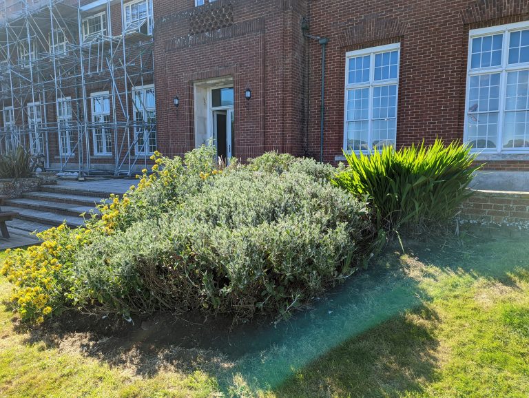 PXL_20220524_152031693