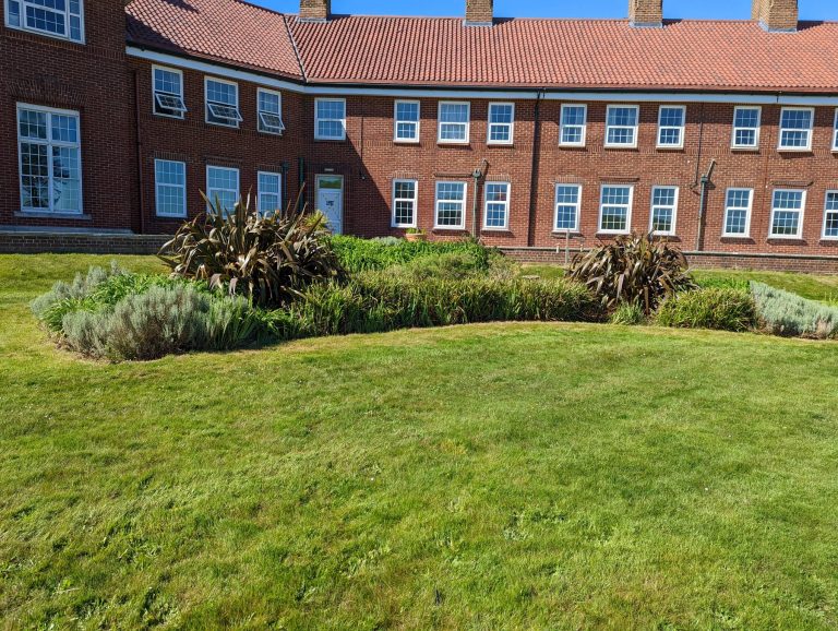 PXL_20220524_152048369 (1)