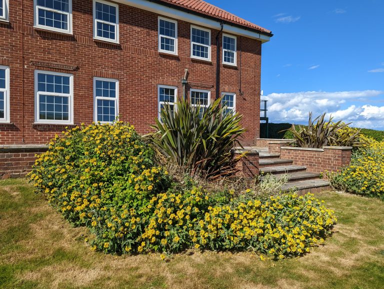 PXL_20220524_152103412