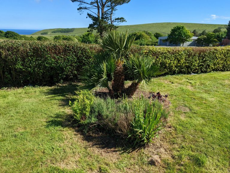 PXL_20220524_152128399 (1)