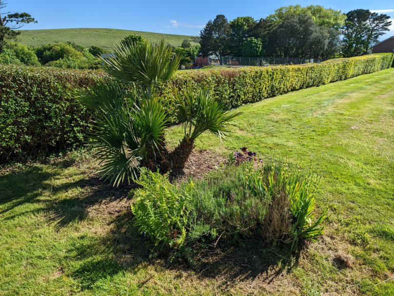 PXL_20220524_152131003