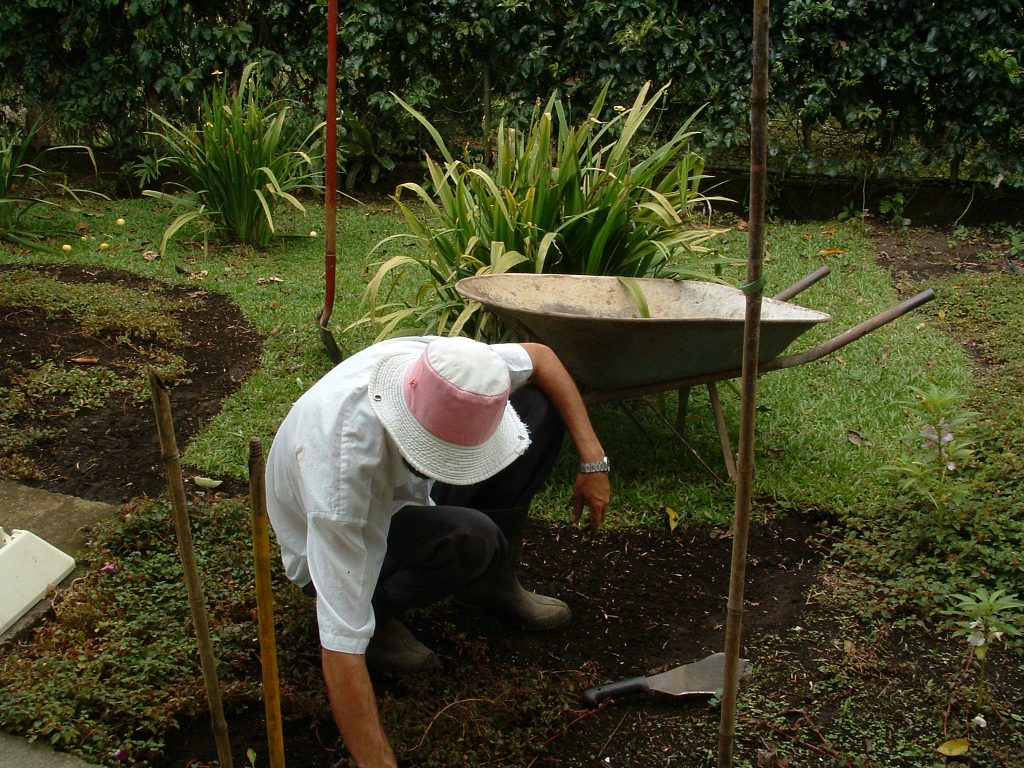 Picture of a man weeding the garden beds as part of our garden maintenance weeding sessions