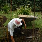 Picture of a man weeding the garden beds as part of our garden maintenance weeding sessions